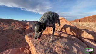 Sparks Go Wild in the Valley of Fire